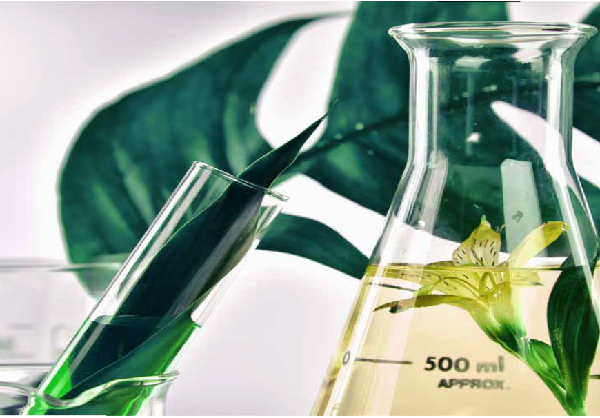 Ingredientes fermentados que revolucionan la cosmética